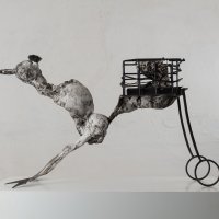 Traveller