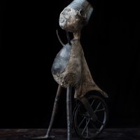 Traveller