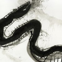 Ouroboros