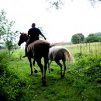 portretten
