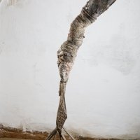 Hominid