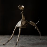 Stoet Hond 