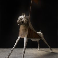 Stoet Hond met Vlag