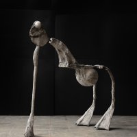 Stoet Kikker