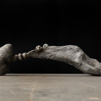 Stoet Gisanten - Vrouw