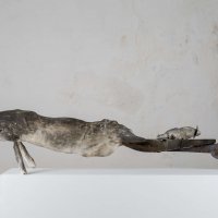 Louange pour une baleine 
